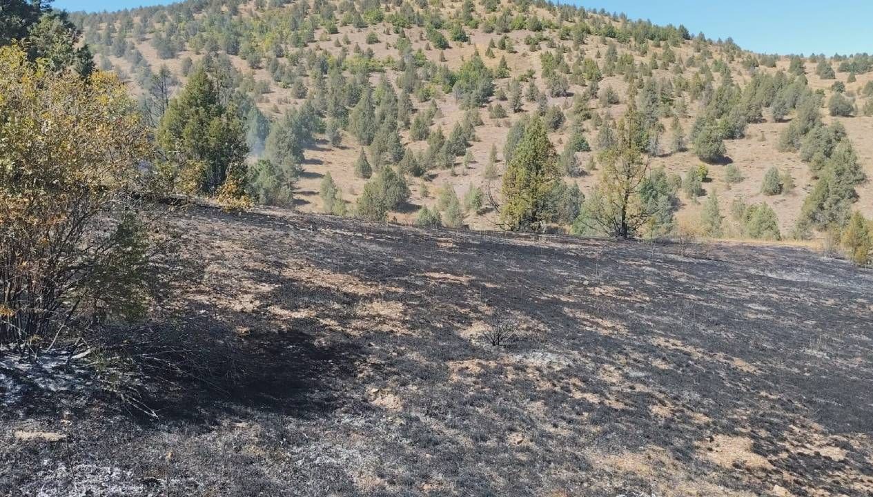 giresunda ortu yangini Pvh6K14i