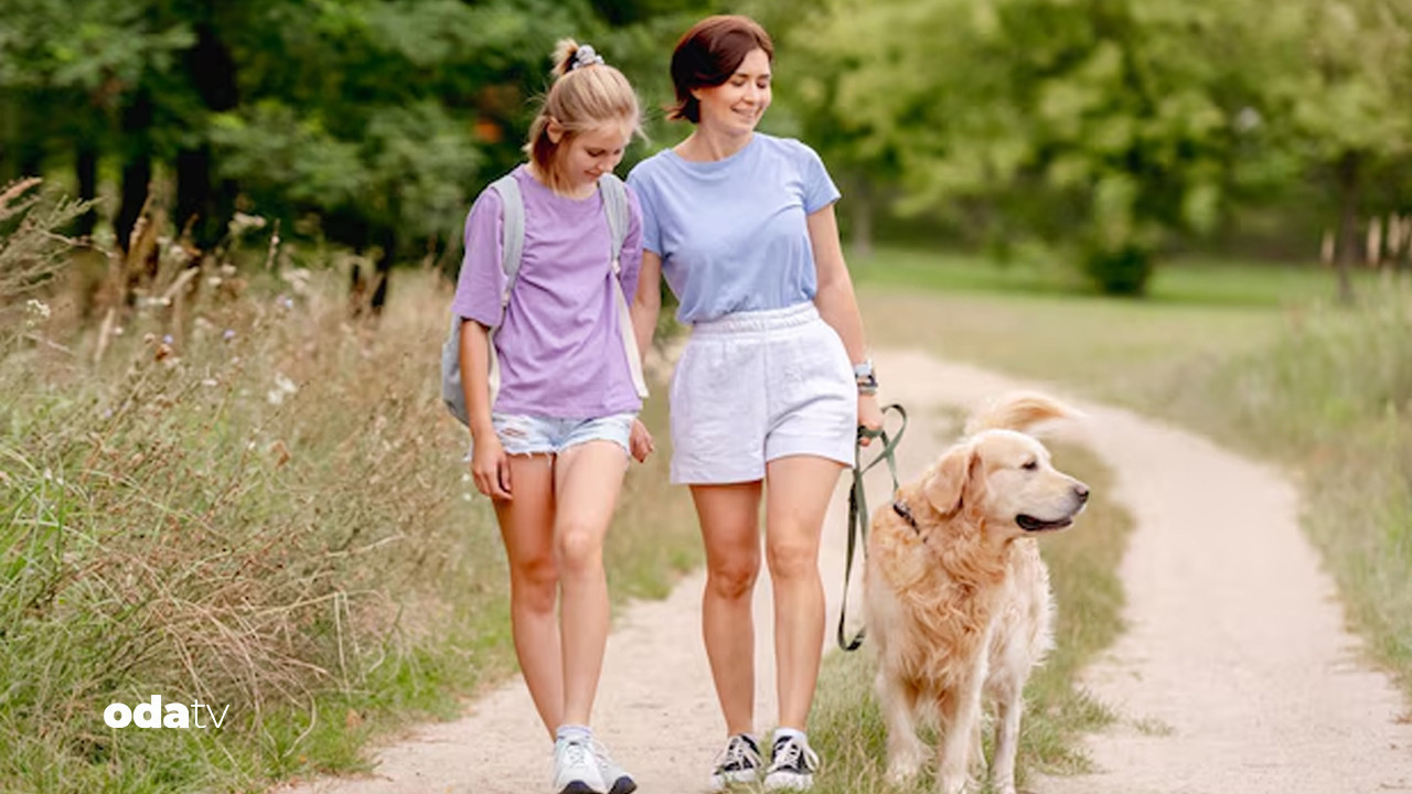 italyada yeni uygulama kopek vergisi Z95X3yau