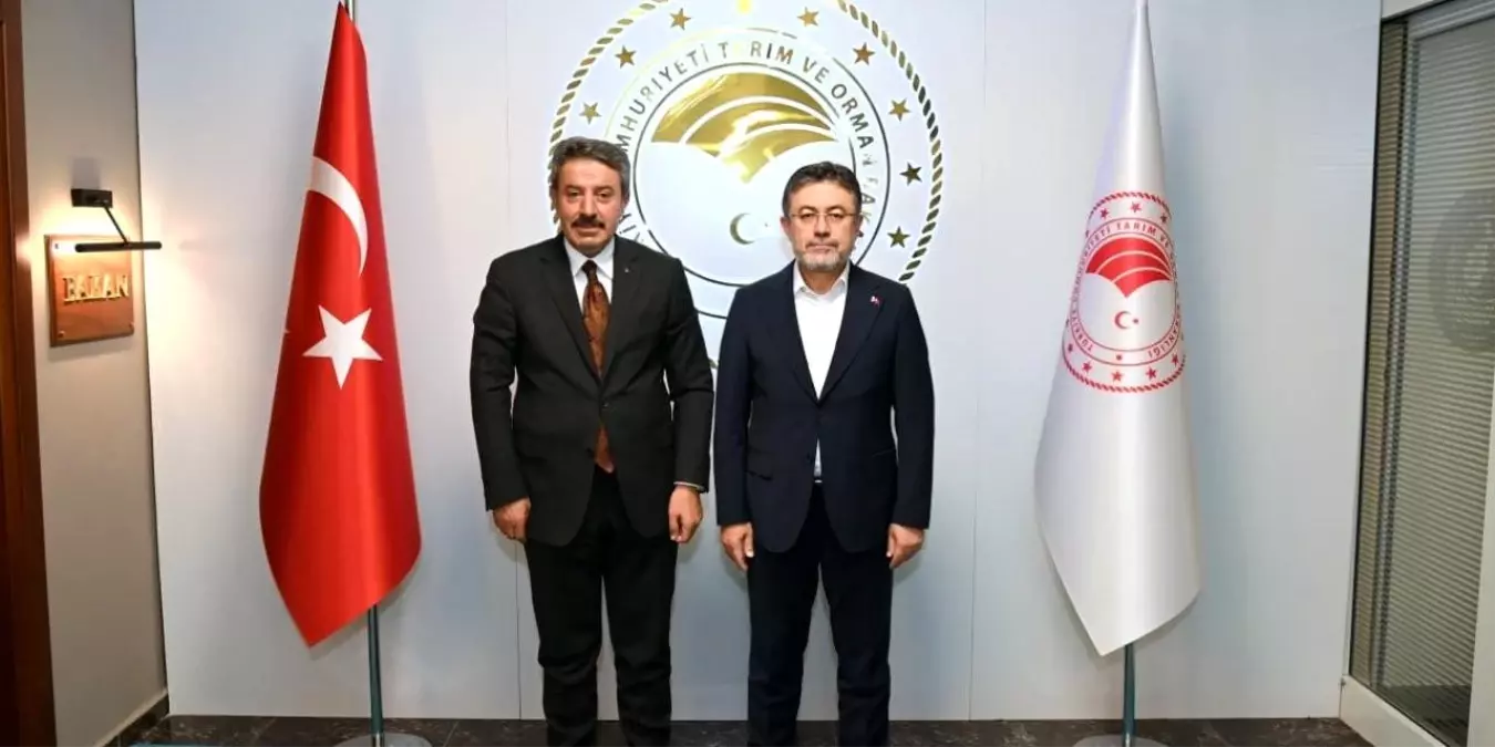 sirnakta tarim ve orman projeleri gorusuldu clzmZ3fq