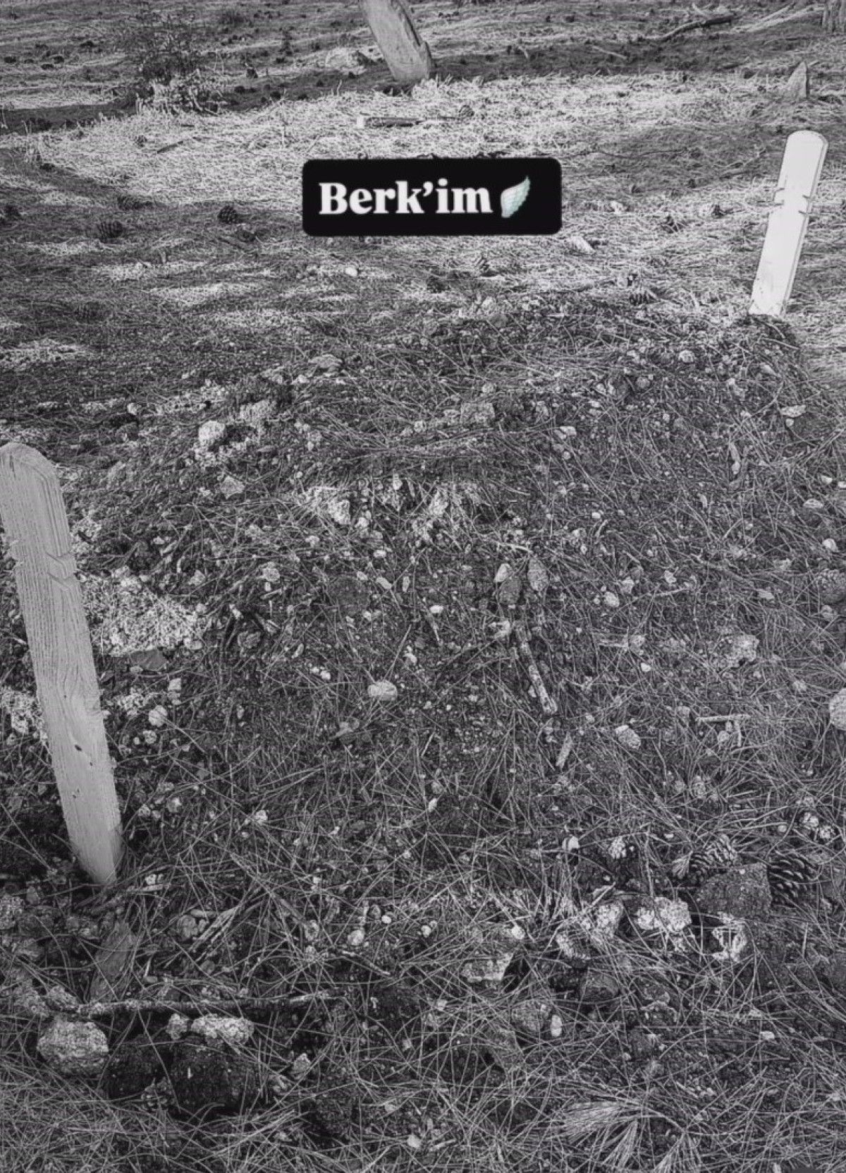 Kırklareli'de Doğum Olayı