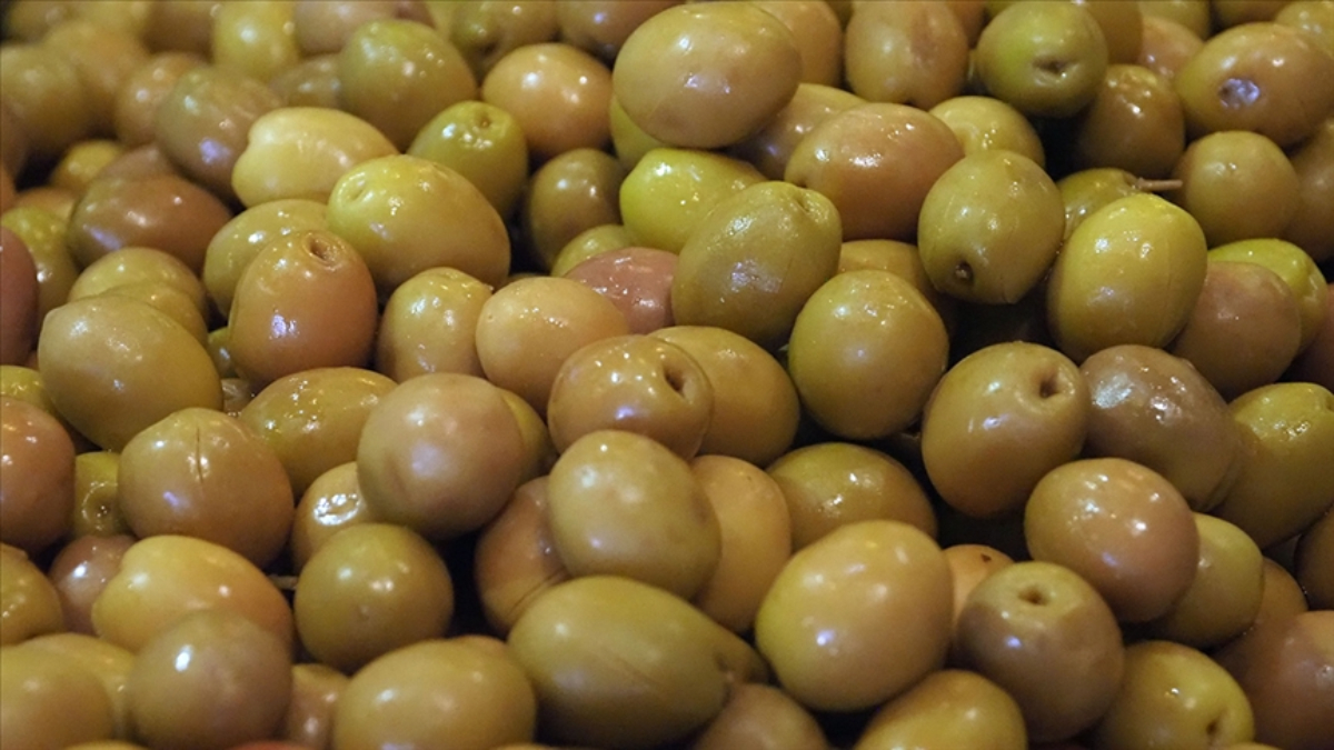 sofralik zeytin ihracatinda tarihi basari 255 milyon dolar O2teahL1