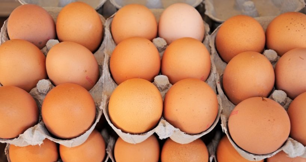 yumurta krizi kapida uretimde sert dusus lQCSFVJV.jpg