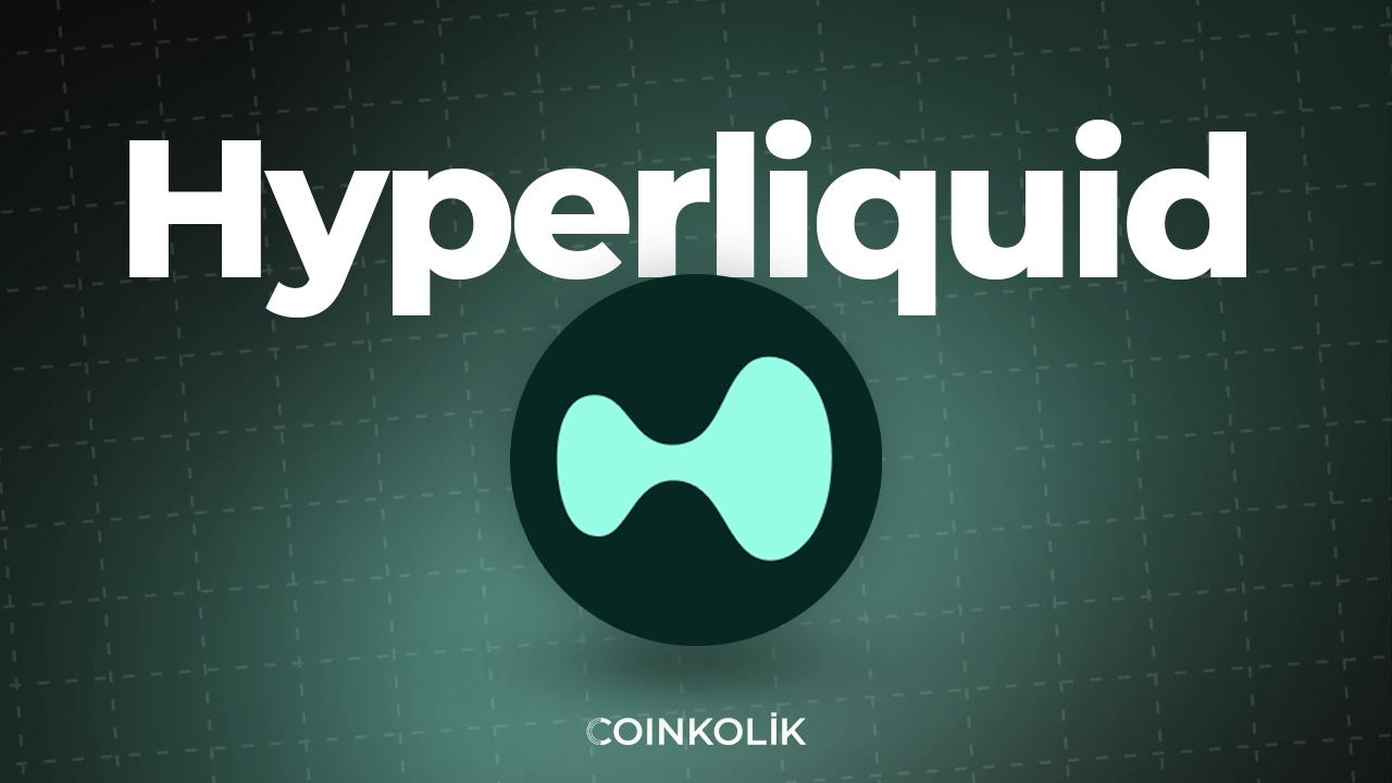 hyperliquid hype coin toparlanma sinyalleri verdi LKI5WSAH.webp