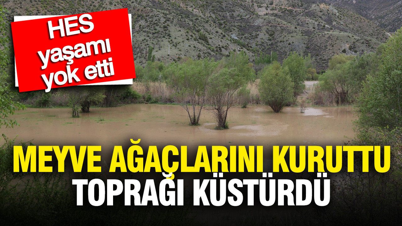 HES’in Olumsuz Etkileri: Meyve Ağaçları Kuruyor, Topraklar Verimsizleşiyor